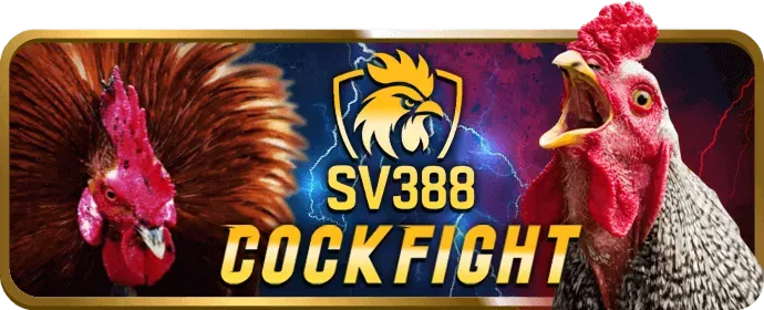 Baccarat tại sv368 win